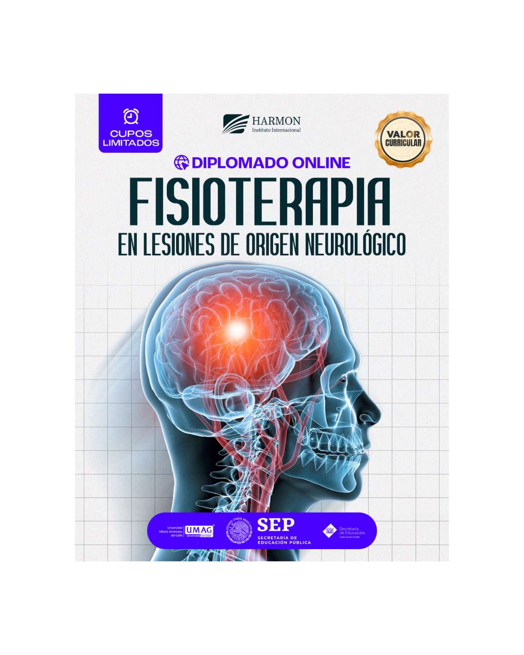 FISIOTERAPIA