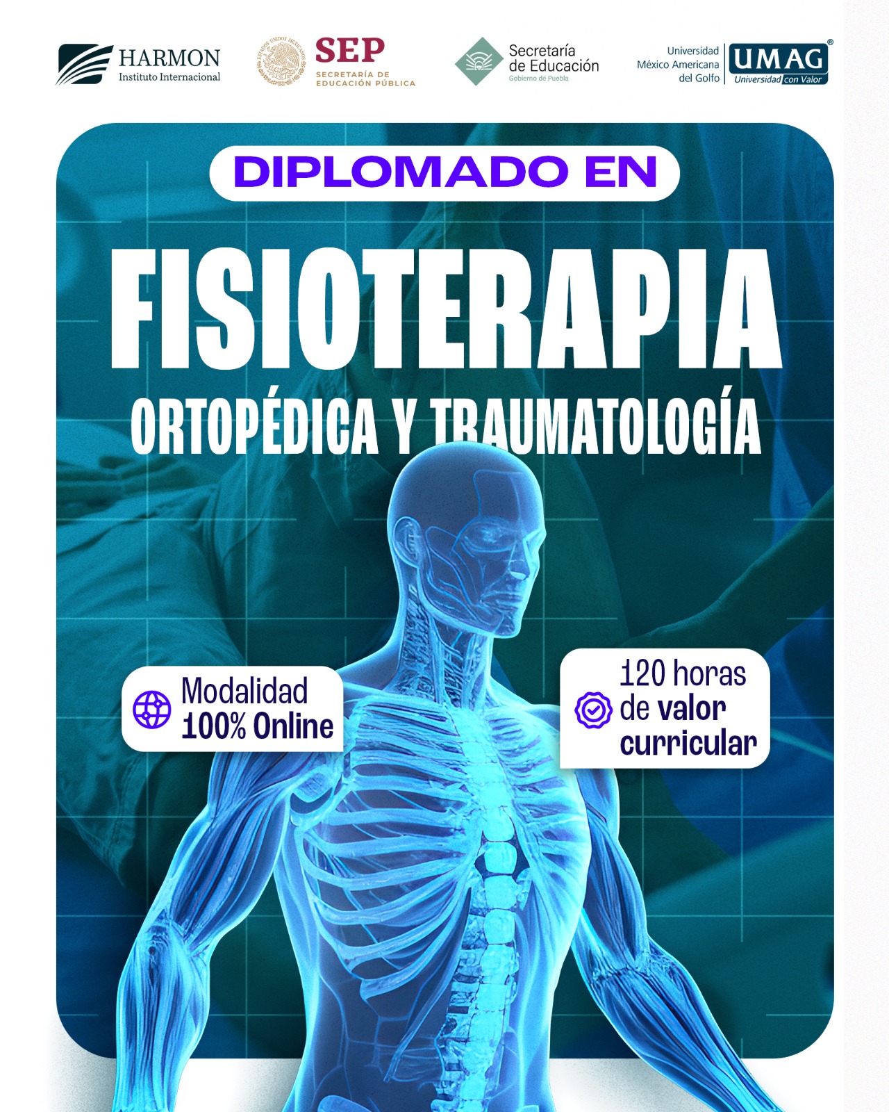 FISIOTERAPIA